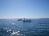 Fishing the gulf 11-10-07